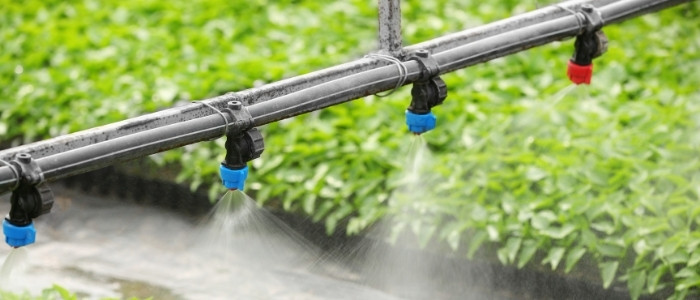 photo of Water & Electrical Systems