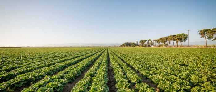 photo of Farming & Agriculture