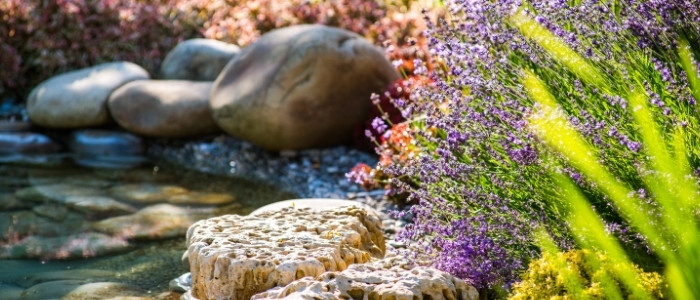 photo of Landscaping Company